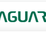 Saguaro